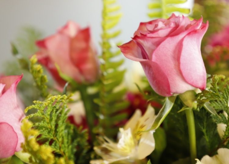 Listos, floricultores mexiquenses para atender demanda por el 14 de febrero