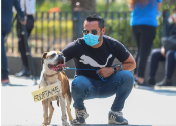 Inicia Saltillo notificaciones a familias en zonas de riesgo por lluvias