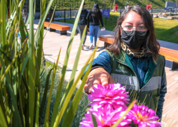 Parque de la Ciencia “Fundadores”, nuevo corredor urbano de polinización