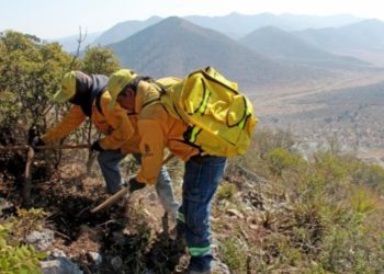 Pide gobierno de Saltillo a ciudadanos a no realizar fogatas en zonas boscosas