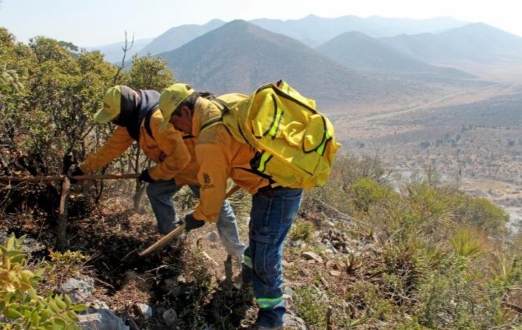 Pide gobierno de Saltillo a ciudadanos a no realizar fogatas en zonas boscosas