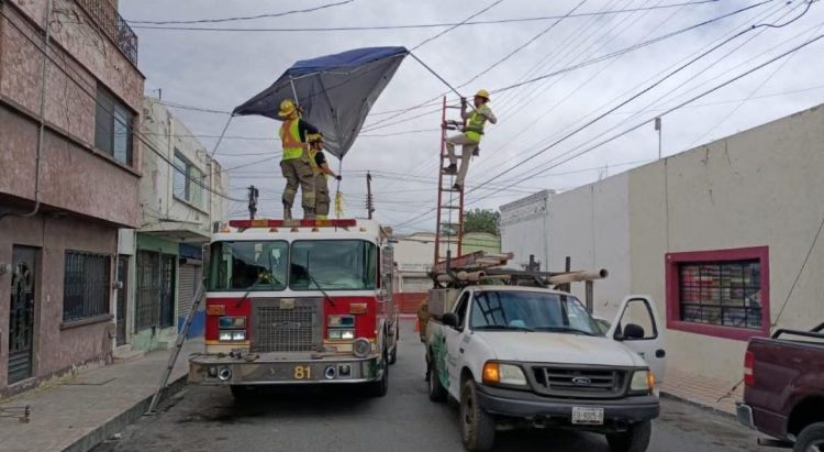 Atiende gobierno de Saltillo reportes ante fuertes vientos