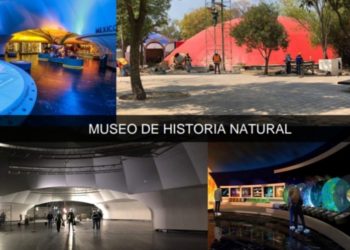 Proyecto Bosque de Chapultepec Naturaleza y Cultura estará listo en diciembre de 2023