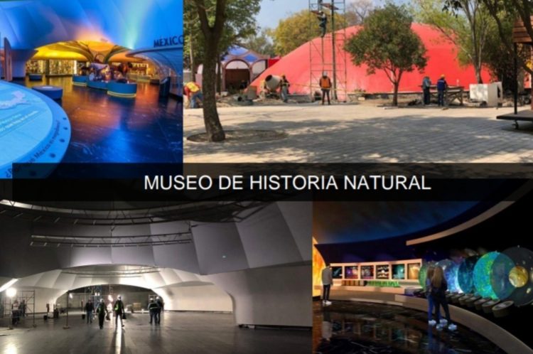 Proyecto Bosque de Chapultepec Naturaleza y Cultura estará listo en diciembre de 2023