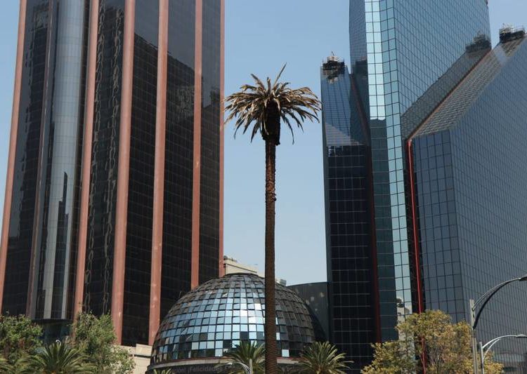 Dirán adiós a la Glorieta de la Palma