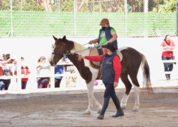 Centro de Equinoterapia abre sus puertas para brindar atención de calidad e integral a la niñez de tlalnepantla