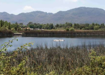 Dos humedales en San Cristóbal de las Casas, Chiapas son declarados “Hábitats críticos”