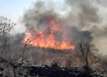 Olor a humo en CDMX por incendios forestales: Protección Civil