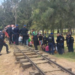 Deja once lesionados descarrilamiento de tren en Bosque de Aragón