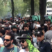 Marchan jóvenes en favor de la marihuana en la CDMX