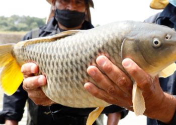 Llama Gobierno del Estado de México a autoridades auxiliares a trabajar en unidad por un progreso social incluyente