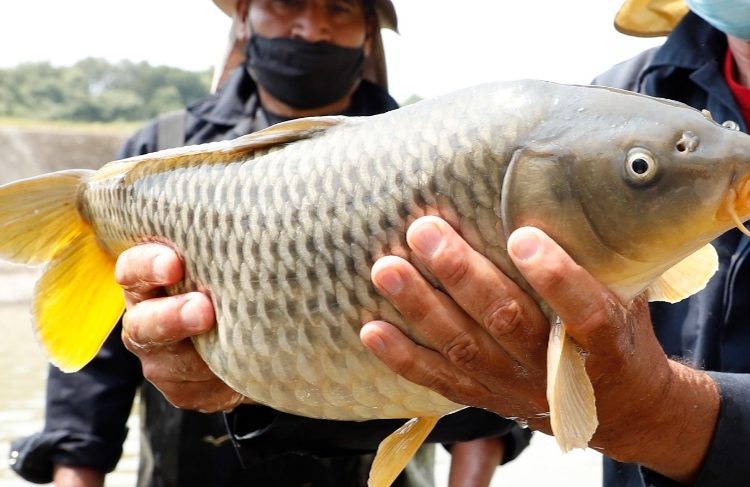 Llama Gobierno del Estado de México a autoridades auxiliares a trabajar en unidad por un progreso social incluyente