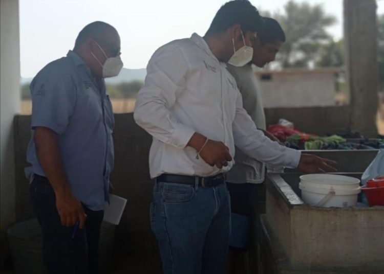 Establecen cerco epidemiológico en municipio oaxaqueño deLa Ventosa