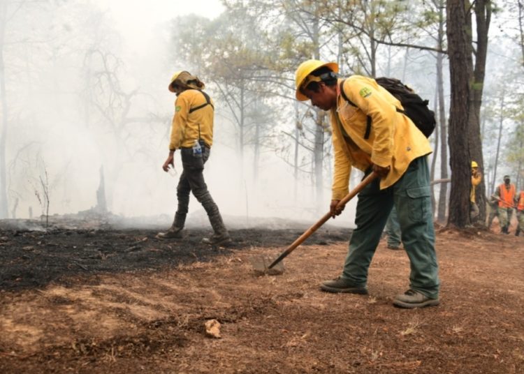 Controlan incendio en Tejupilco