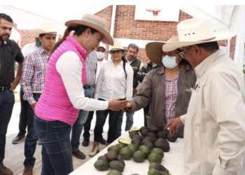 Apoya Gobierno del Estado de México a productores aguacateros