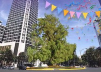 Ahuehuete gana la consulta para reemplazar a La Palma en Paseo de la Reforma