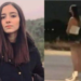 debanhi