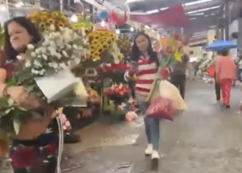 Acusan intromisión del gobierno capitalino en renovación de dirigencia del Mercado Jamaica