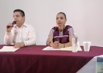 Conductor estrella auto contra ahuehuete recién plantado en Reforma
