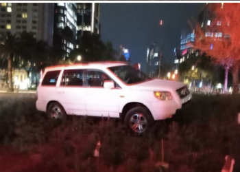 Conductor estrella auto contra ahuehuete recién plantado en Reforma