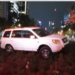 Conductor estrella auto contra ahuehuete recién plantado en Reforma
