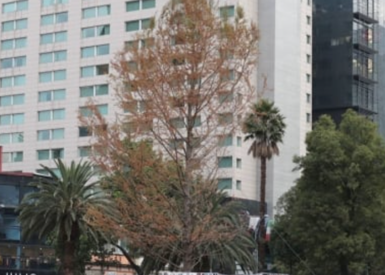 Anuncia Sheinbaum programa de conciertos masivos en la CDMX