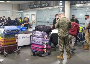 Decomisan ayahuasca en Aeropuerto capitalino