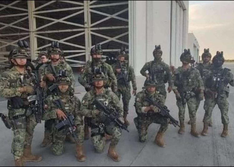 Publican foto de marinos que perdieron la vida tras operativo contra Caro Quintero