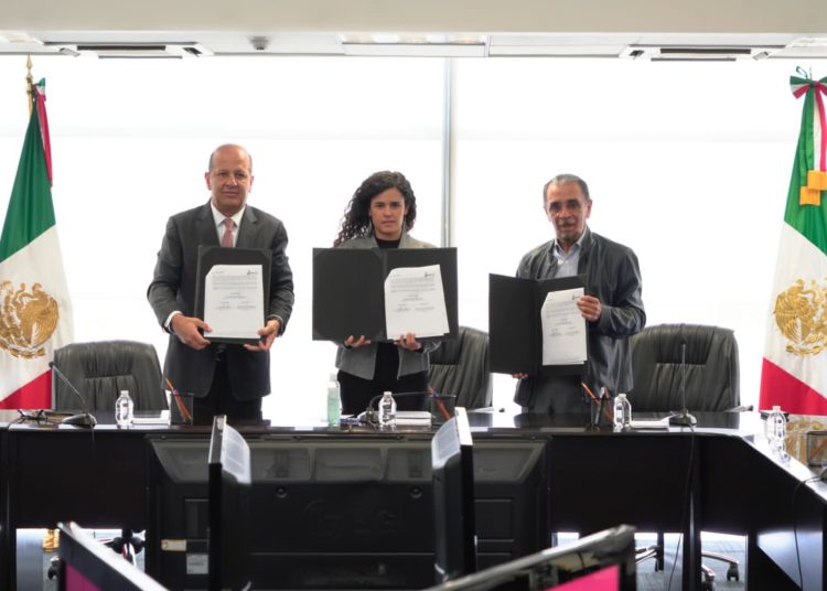 Obtiene Fiscalía capitalina prisión preventiva contra La Viuda Negra