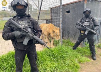 Inspecciona Profepa predio del Ajusco denunciado por maltrato animal