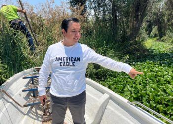 Tren Maya, el costoso e inviable proyecto presidencial: PAN