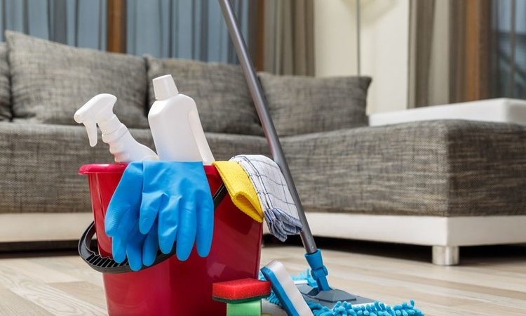 Despidos injutificados, males que aquejan a trabajadoras domésticas: CDHCM