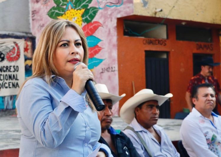 Indicios sobre jefe policíaco evidencian omisiones del gobierno: Lucy Meza