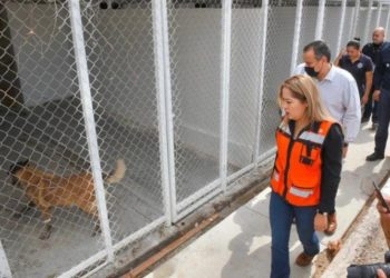 Verifica alcalde instalaciones para perros de la Unidad K9