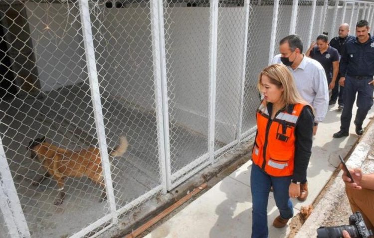 Verifica alcalde instalaciones para perros de la Unidad K9