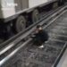 Usuario baja a las vías del Metro a grabar un video para Tik Tok