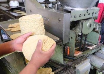 Precio de la Tortilla debe fijarse en $10.00: PRD