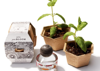 Reconocen a Jafra por innovación en perfume sostenible