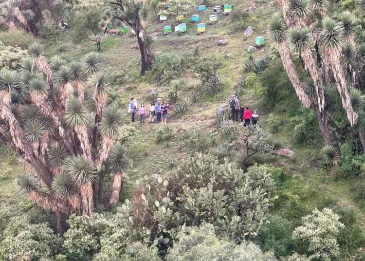 Helicóptero Jaguar 1 de Ecatepec localiza a 7 niños y 4 adultos extraviados en la Sierra de Guadalupe