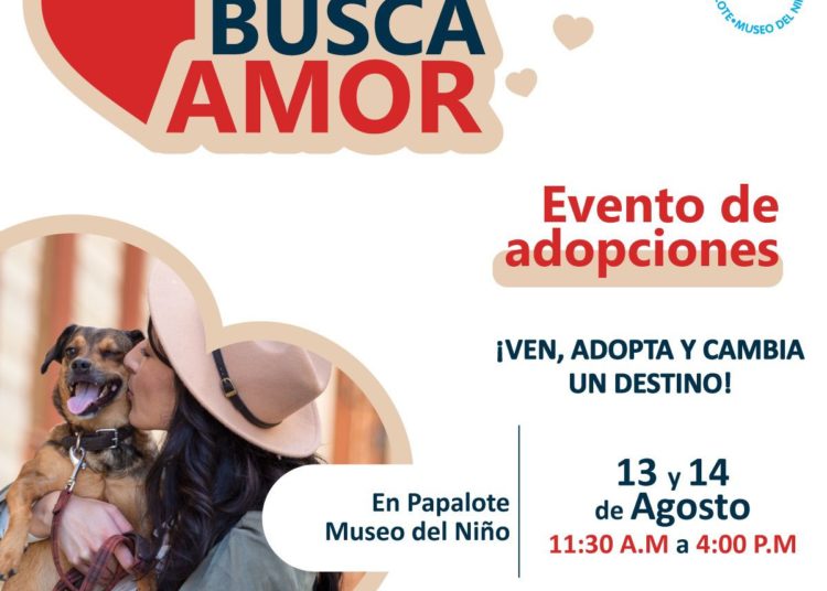 Arman Feria de Adopción Responsable en Papalote
