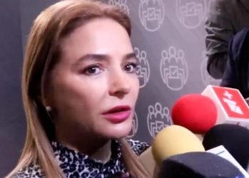 Reforma electoral de nivel constitucional debería esperar hasta después de las elecciones de 2024: Carla Humphrey