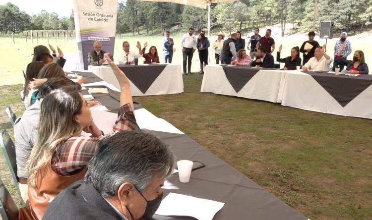 Avala Cabildo incentivos ante el SDARE