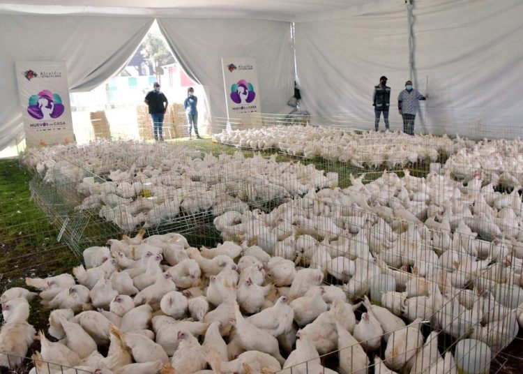 Iztapalapa pone “Los Huevos en Casa”