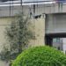 Descartan riesgo con el puente en la vía Gustavo Baz en Naucalpan.
