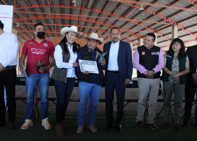 Entrega Gobierno del Estado de México 20 mil plantas de maguey pulquero a productores de las Pirámides