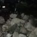 Policía de Tlalnepantla localiza toma clandestina en Sierra de Guadalupe