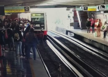 Rescate de perro interrumpe servicio en Linea 4 del Metro