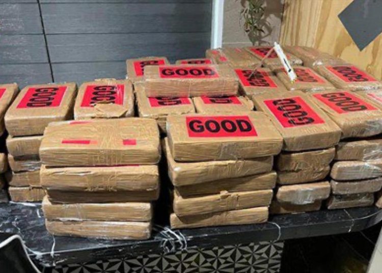 Decomisa Seguridad Ciudadana 300 kg de cocaína y detiene a cuatro miembros del Cártel Jalisco