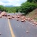 Libera SCTI cinco carreteras y un puente afectados por el sismo de ayer