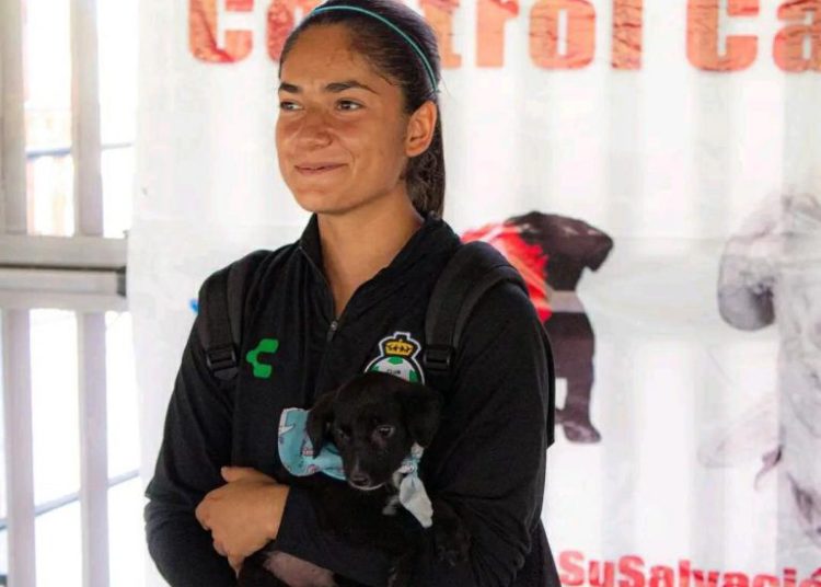 Municipio y Club Santos promueven adopción de perritos